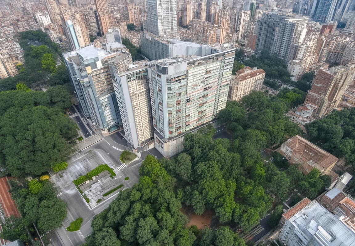 合金弹头守护江南：诗意盎然家园梦想之旅
