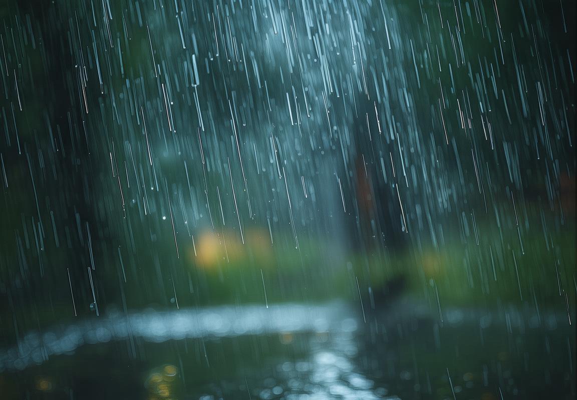 夏日暴雨中的悠然自得与未知挑战