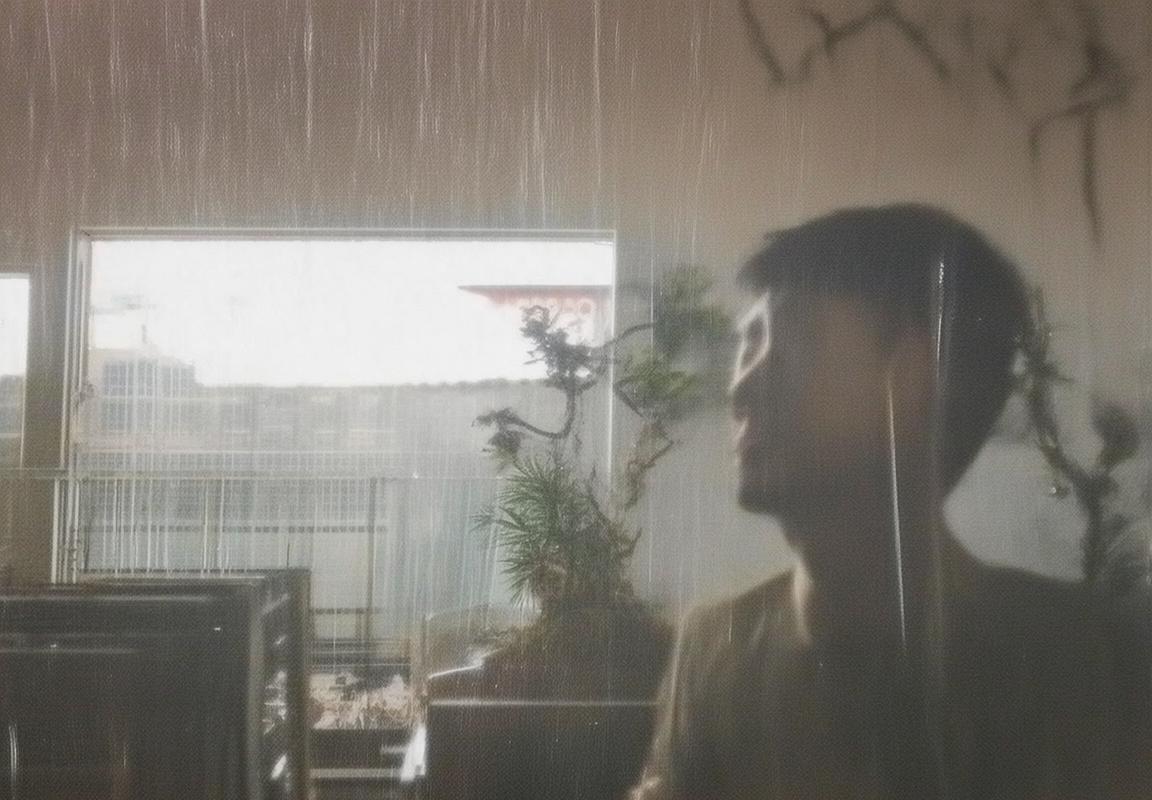 名侦探柯南梦幻花园2：续写浪漫篇章，等你启程