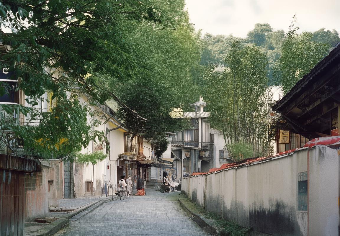 光芒岁月：梦想星光，惊喜街头之旅